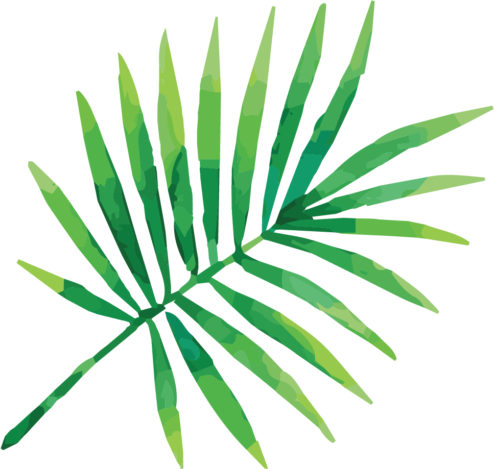 Tropical Palm Frond Illustration PNG Image