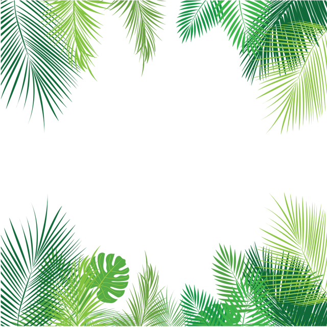 Tropical_ Palm_ Leaf_ Border PNG Image