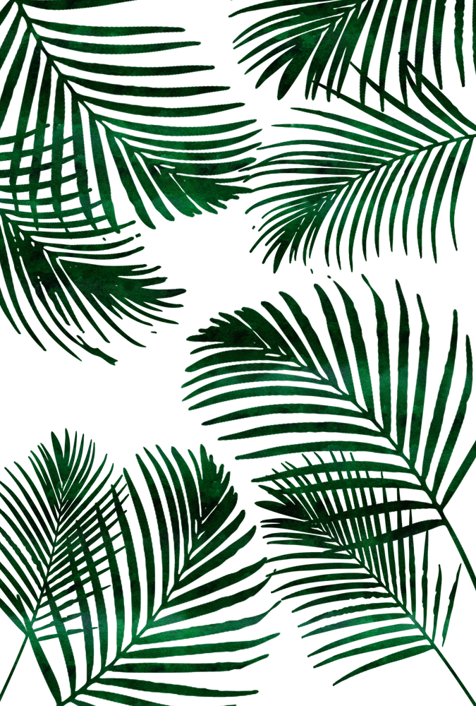 Tropical Palm Leaves Pattern PNG Image