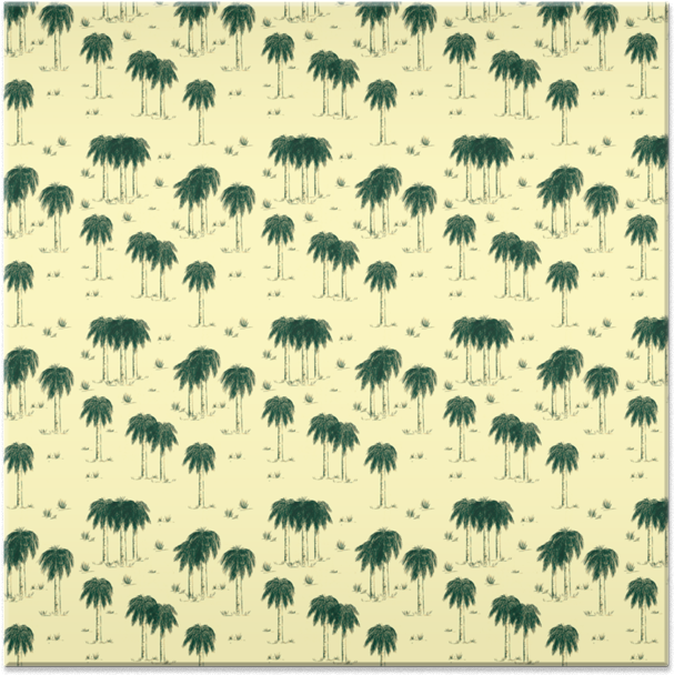 Tropical Palm Pattern Background PNG Image