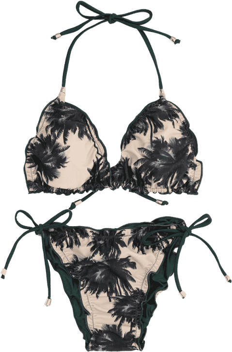 Tropical Palm Print Bikini PNG Image