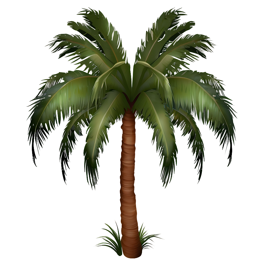 Tropical Palm Tree Png 04292024 PNG Image