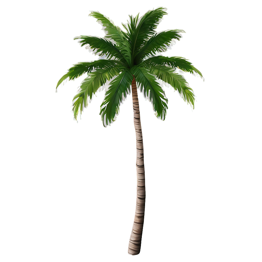 Tropical Palms Png 06112024 PNG Image