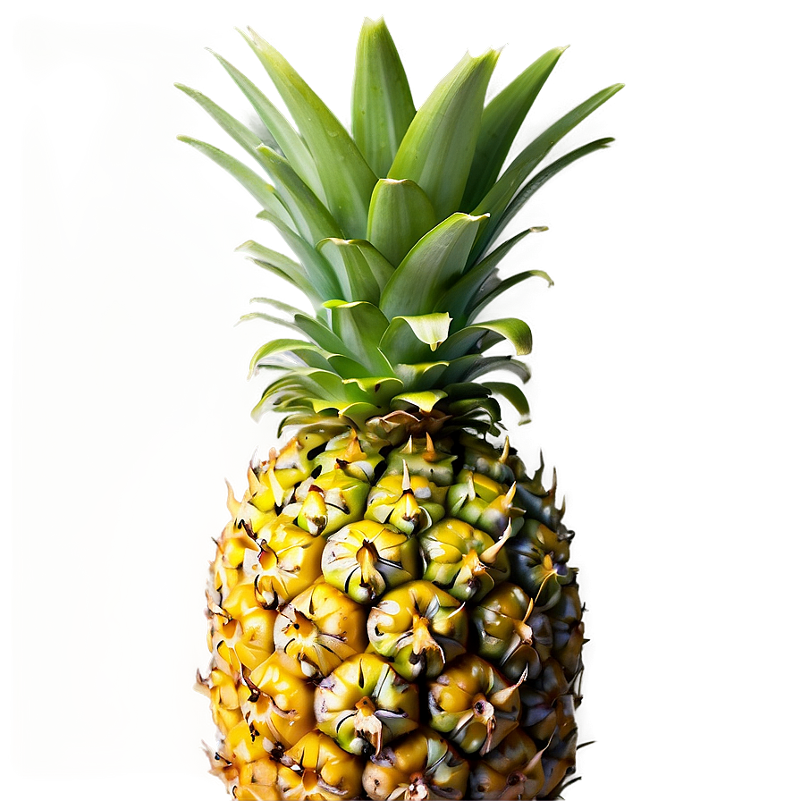 Tropical Pineapple Png 14 PNG Image