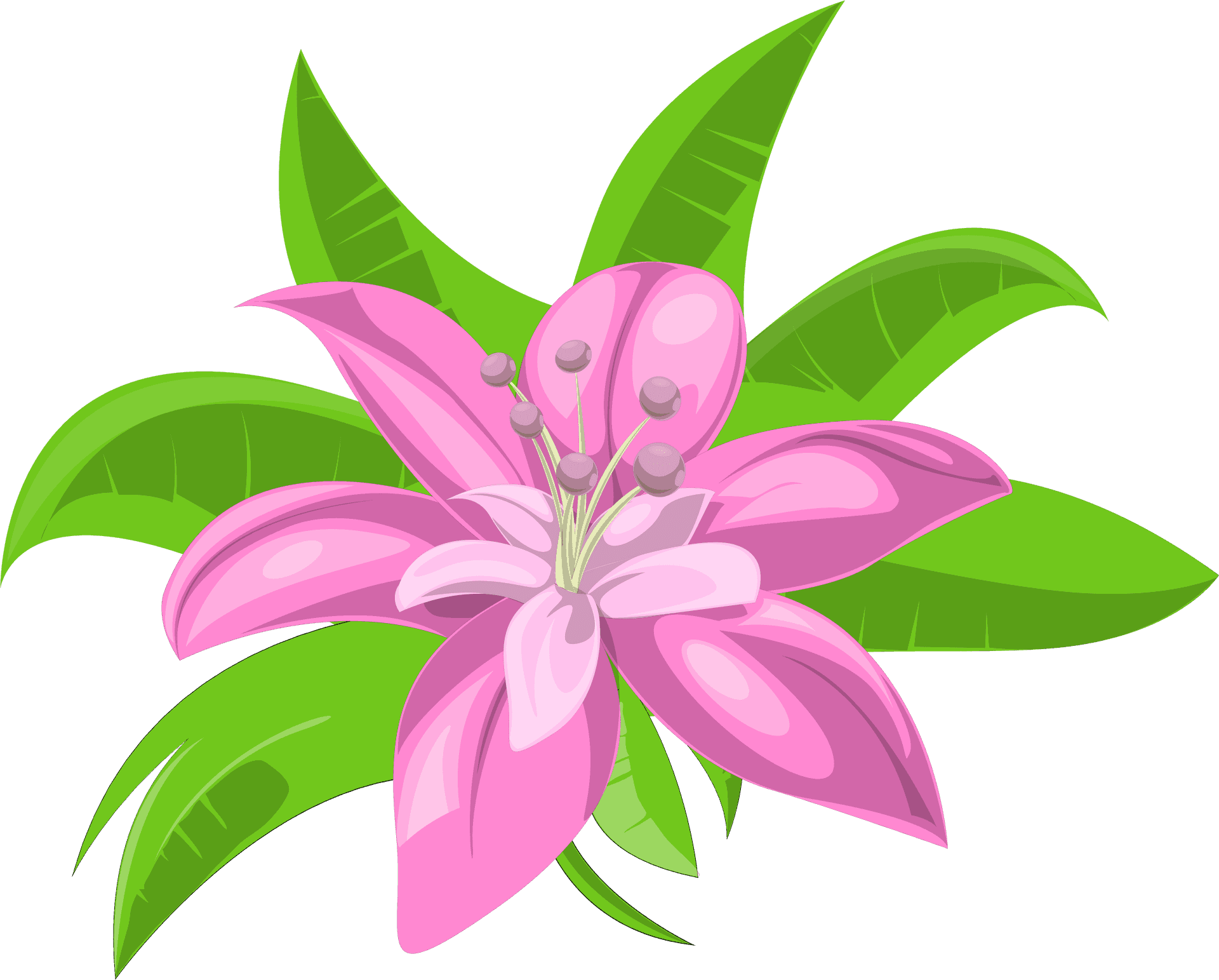 Tropical Pink Flower Illustration PNG Image