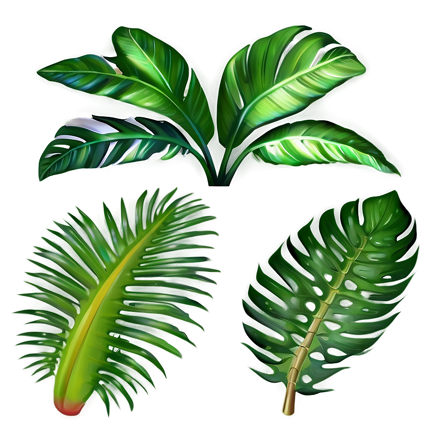 Tropical Plant Collection Png Ixt57 PNG Image