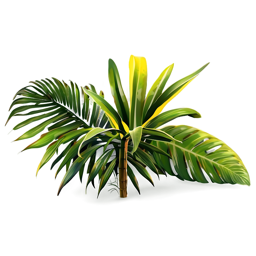 Tropical Plant Landscapes Png 06252024 PNG Image