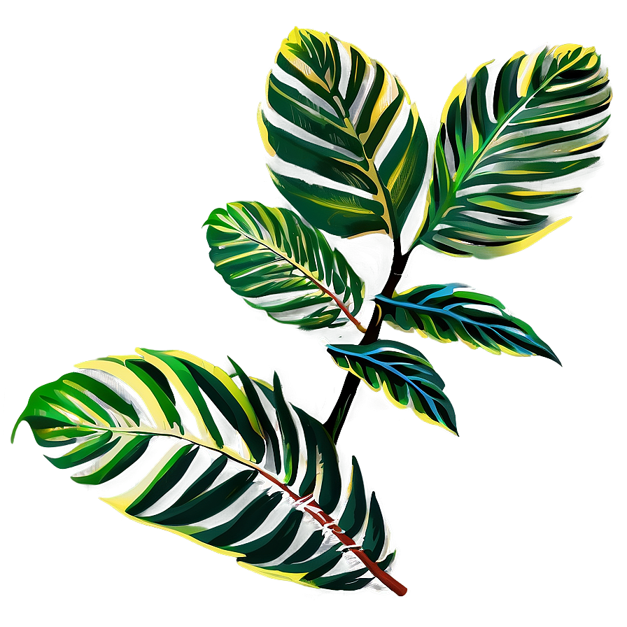 Tropical Plant Sketches Png Nbk PNG Image