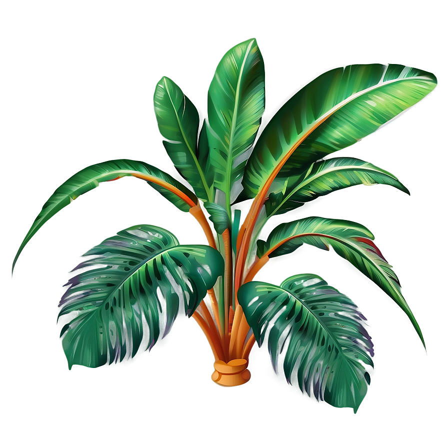 Tropical Plant Vectors Png 06252024 PNG Image