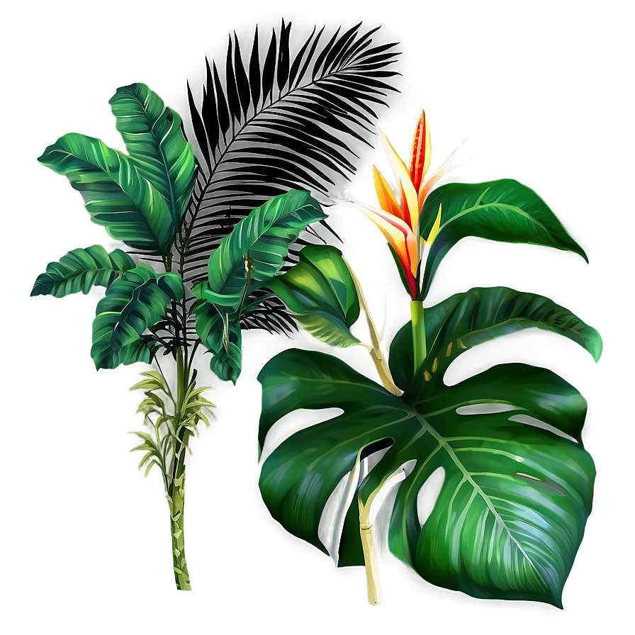 Tropical Plants Png 45 PNG Image