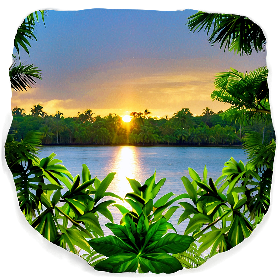 Tropical Rainforest Sunset Png 06112024 PNG Image