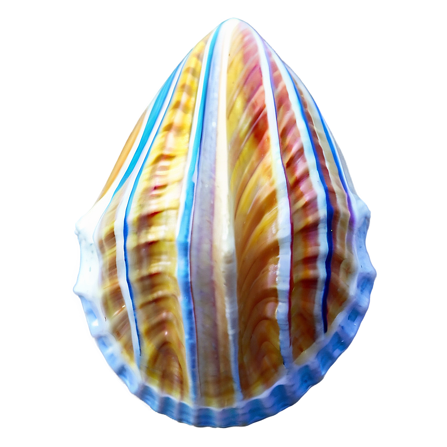 Tropical Seashell Design Png 88 PNG Image