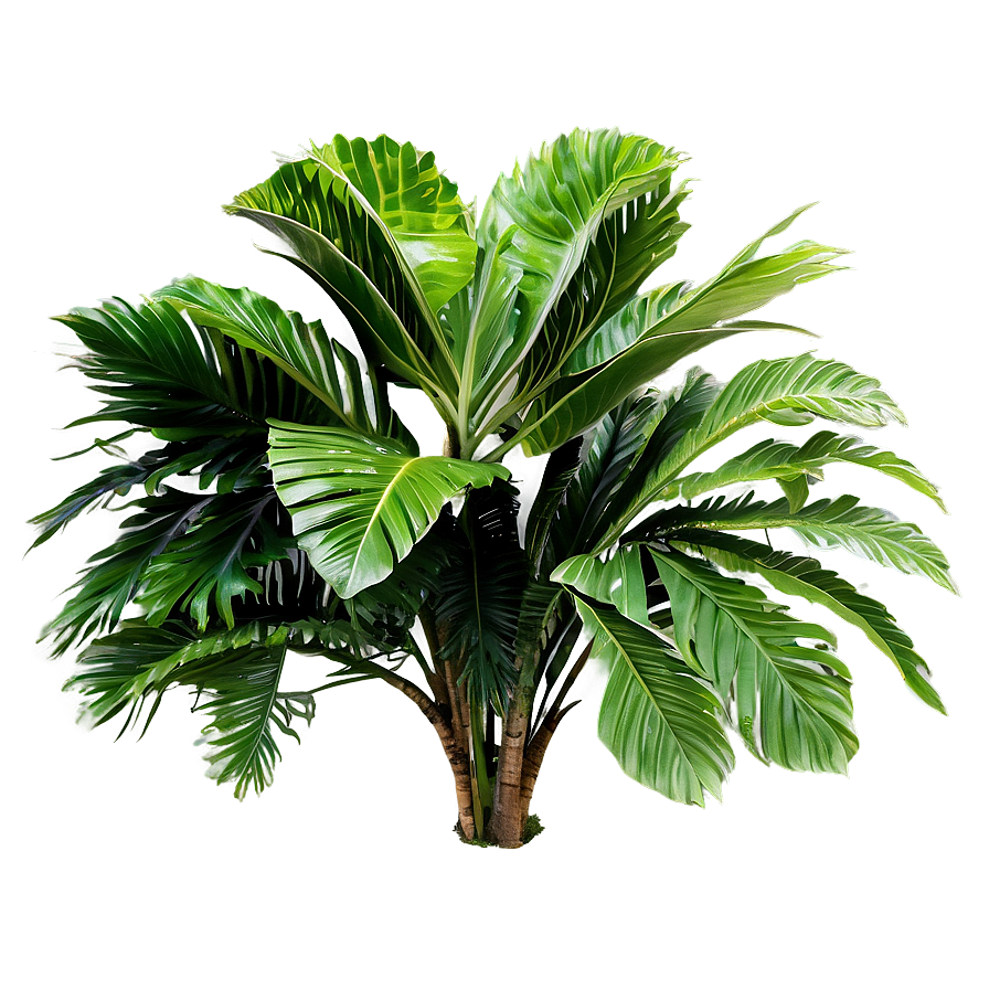 Tropical Shrubs Png Qhj4 PNG Image