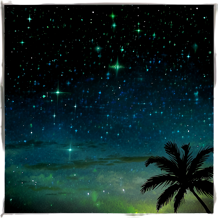 Tropical Starry Night Sky Png 44 PNG Image