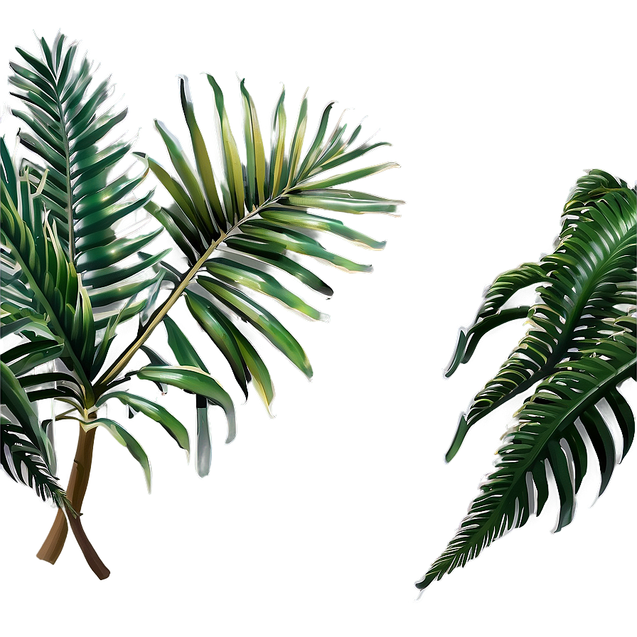 Tropical Trees Png Yad56 PNG Image