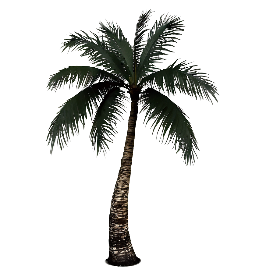 Tropical Vacation Png 84 PNG Image