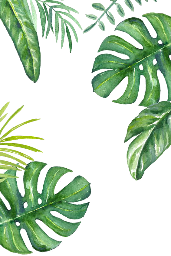 Tropical Watercolor Leaves Pattern PNG Image