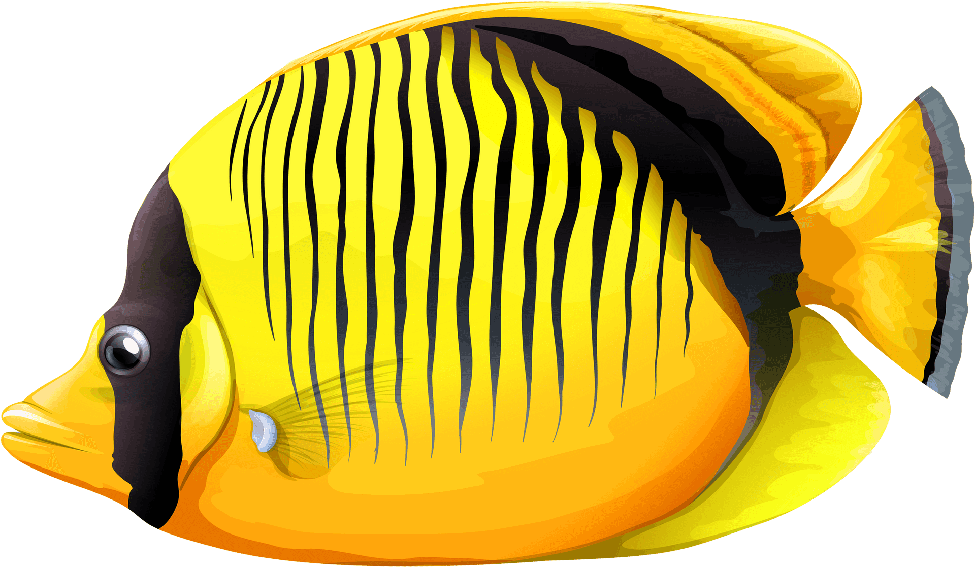 Tropical Yellow Black Striped Fish PNG Image