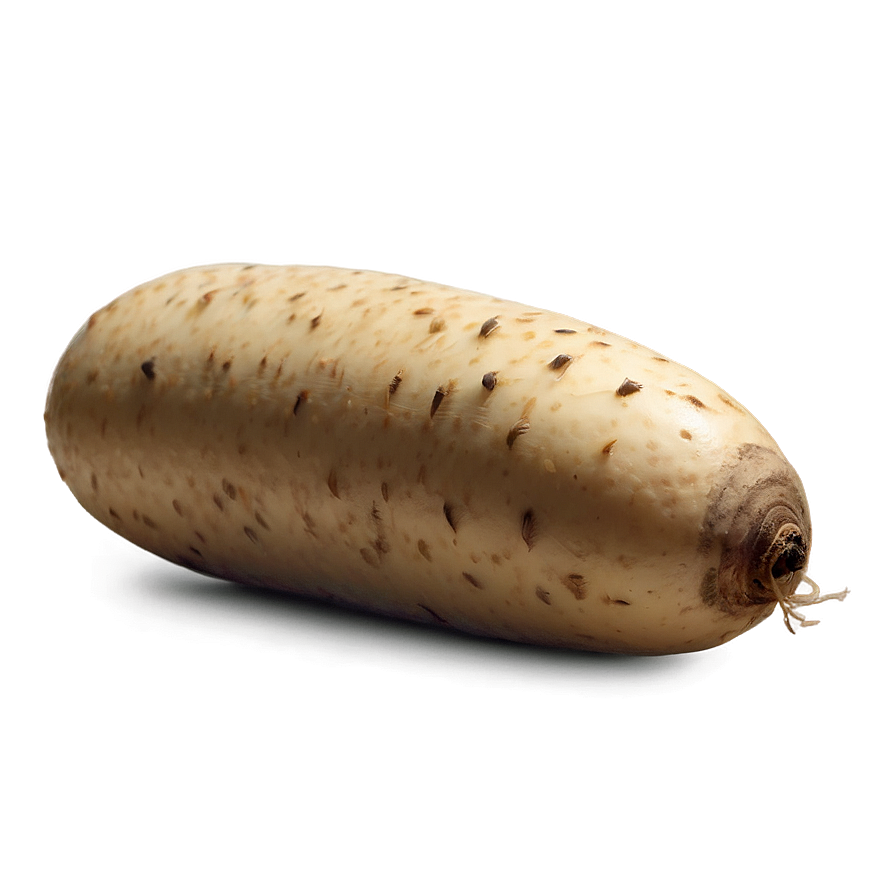 Tuber B PNG Image