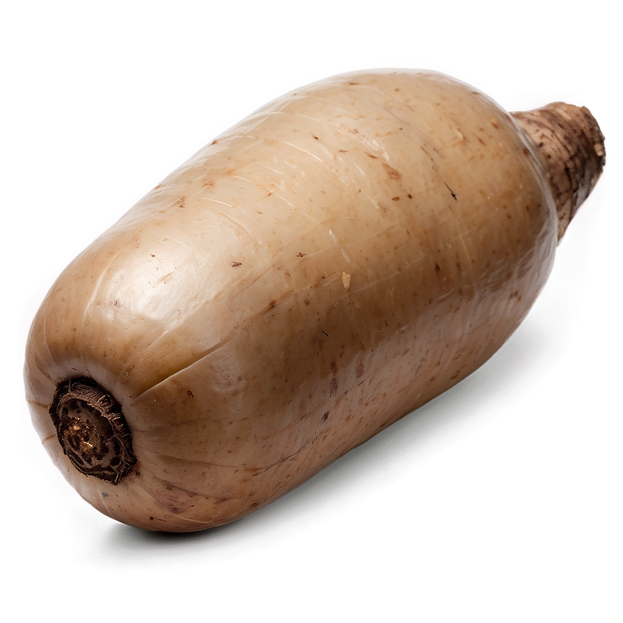 Tuber Health Benefits Png Hfl PNG Image