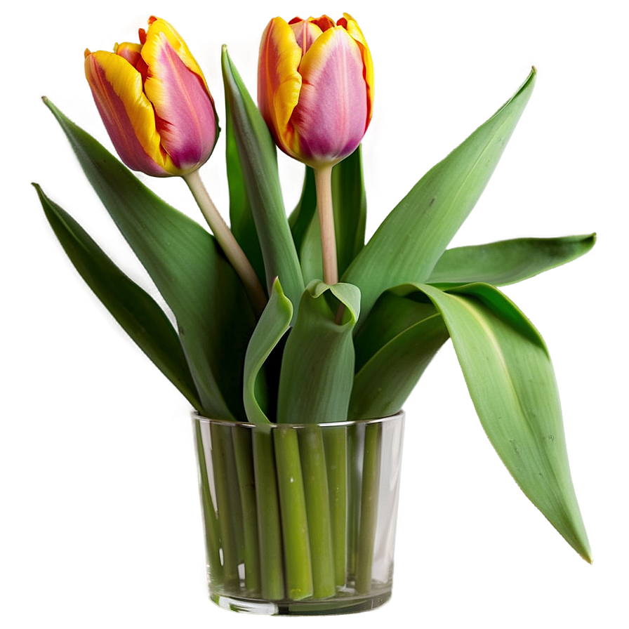 Tulip Arrangement Png Epn5 PNG Image