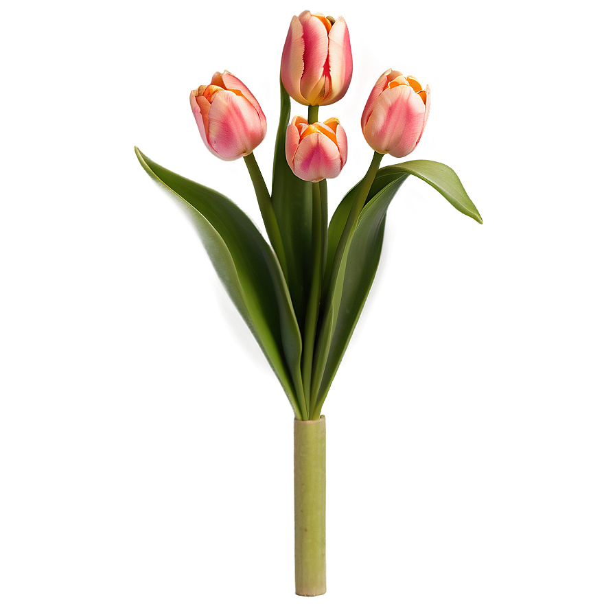 Tulip Flower Bush Png Eet7 PNG Image