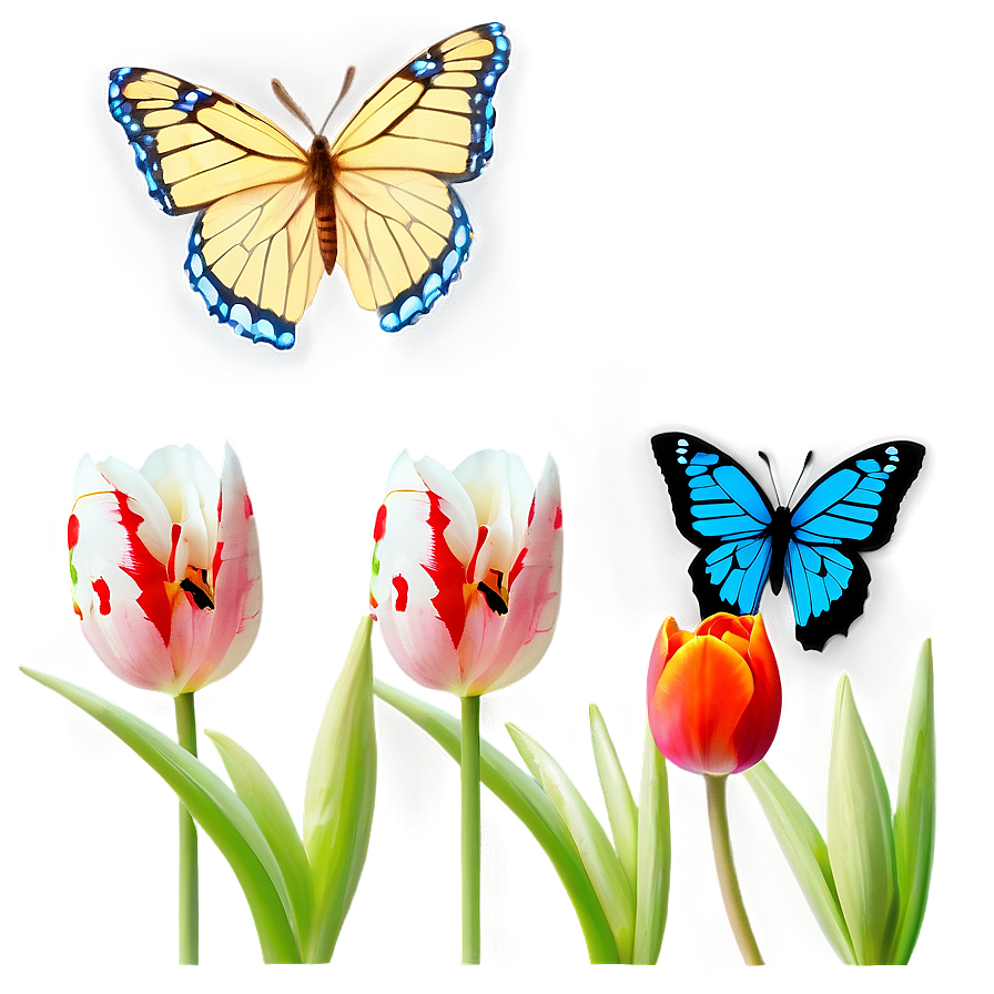 Tulips And Butterflies Png 05242024 PNG Image