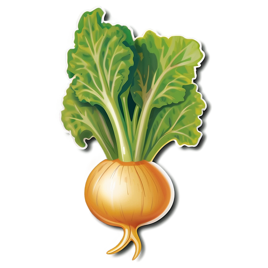 Turnip Badge Png Kjs76 PNG Image