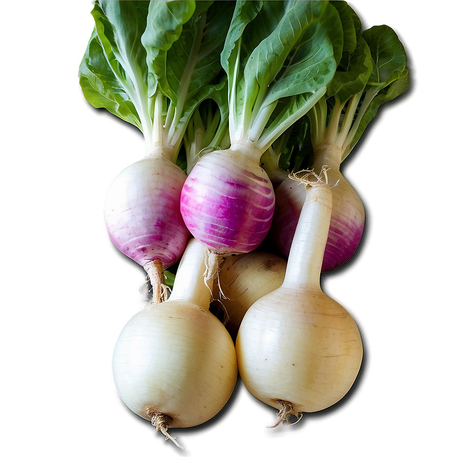 Turnip Farm Png 06252024 PNG Image