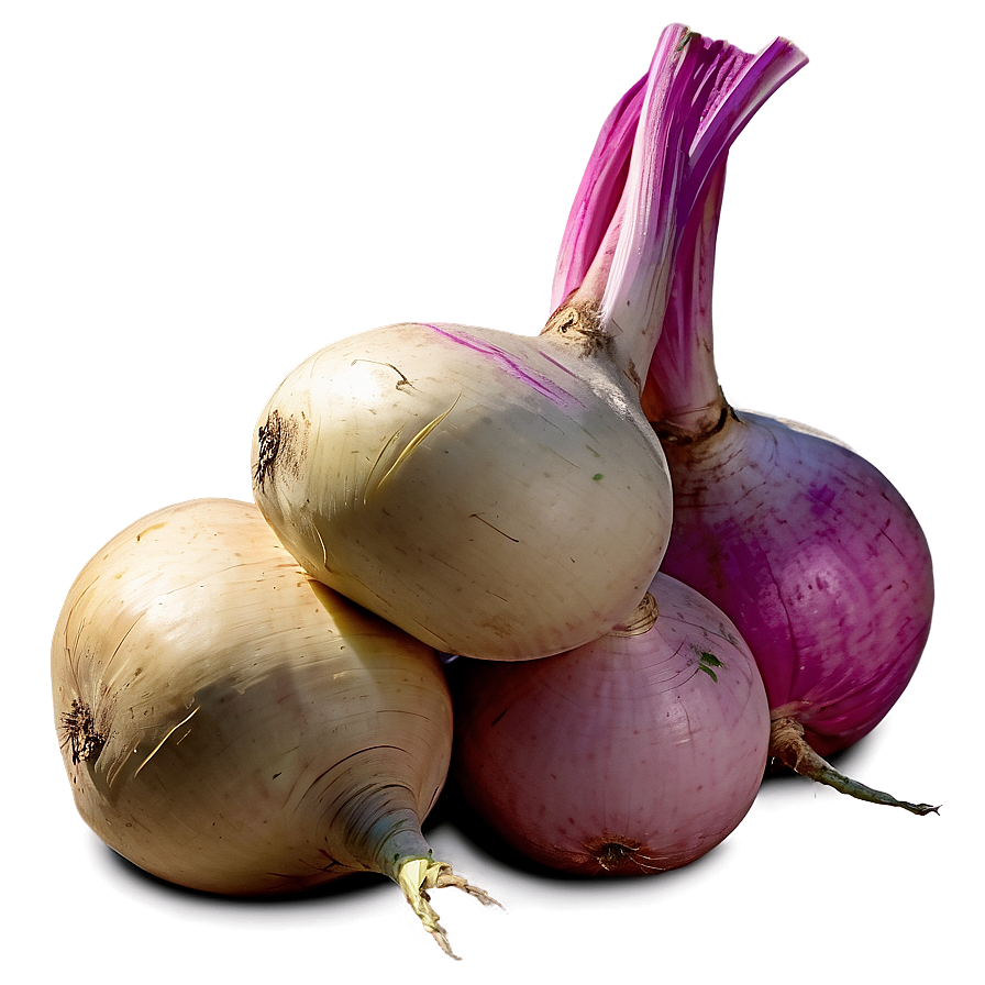 Turnip Harvest Png 06252024 PNG Image