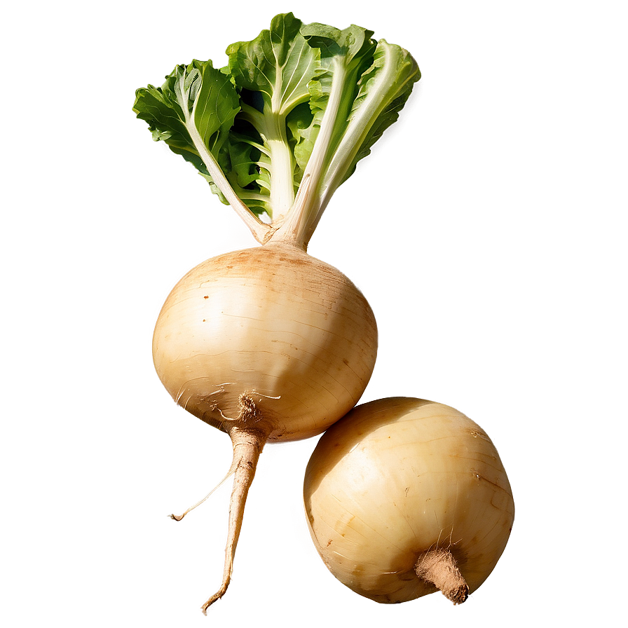 Turnip Market Png 27 PNG Image