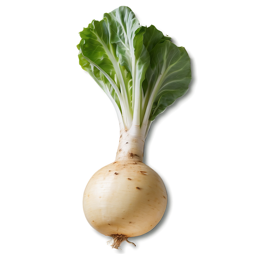 Turnip Market Png 81 PNG Image