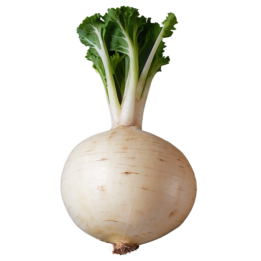 Turnip Recipe Ingredient Png 62 PNG Image