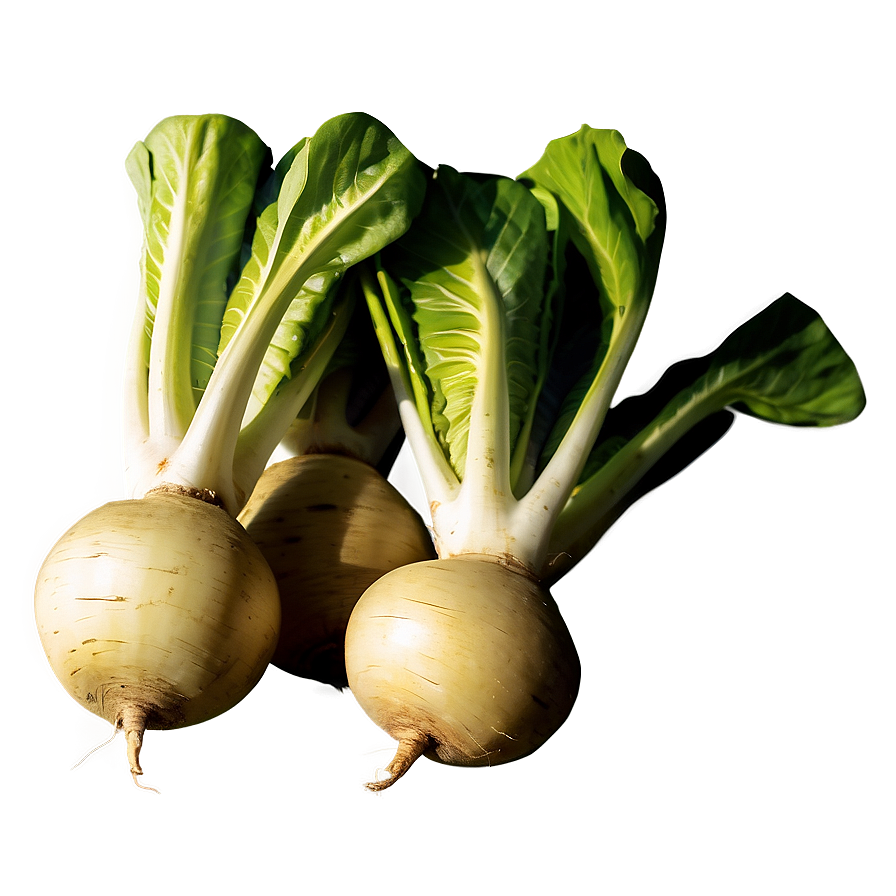 Turnip Snack Png Xaw PNG Image