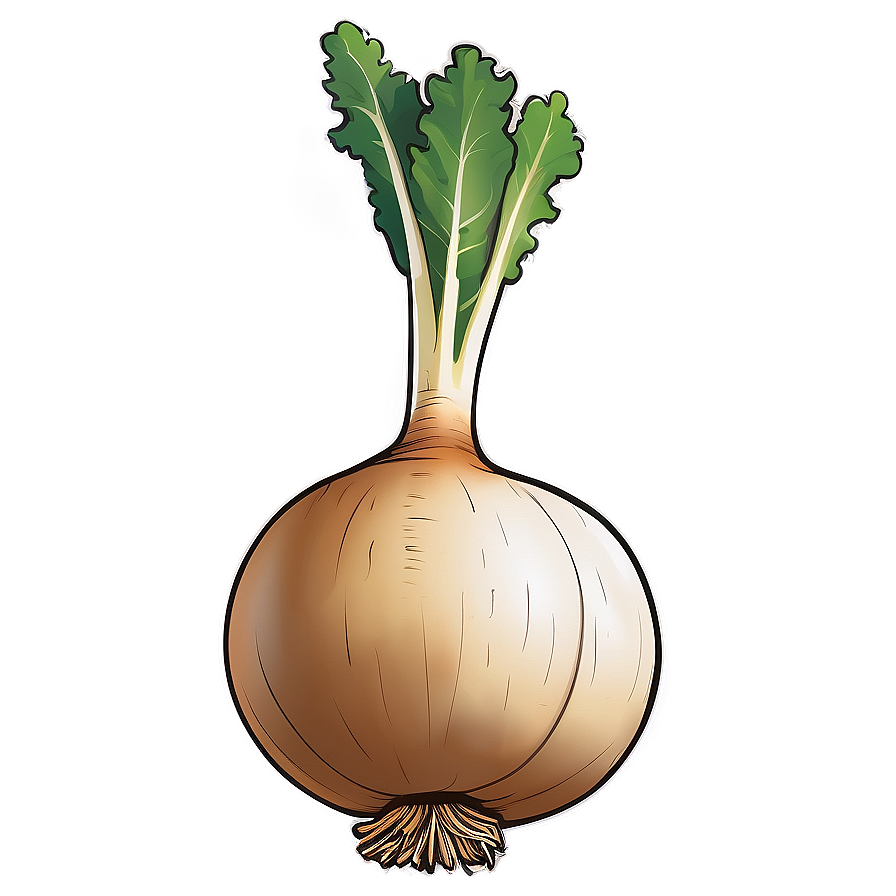 Turnip Vector Png Xpm26 PNG Image