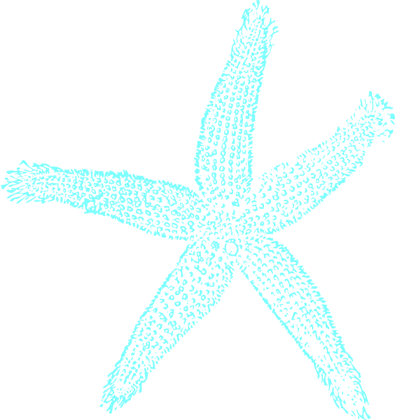 Turquoise Starfish Clipart PNG Image