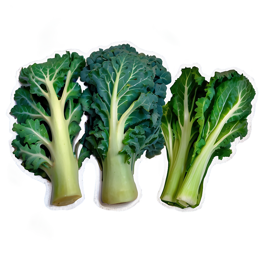 Tuscan Kale Png Iee57 PNG Image