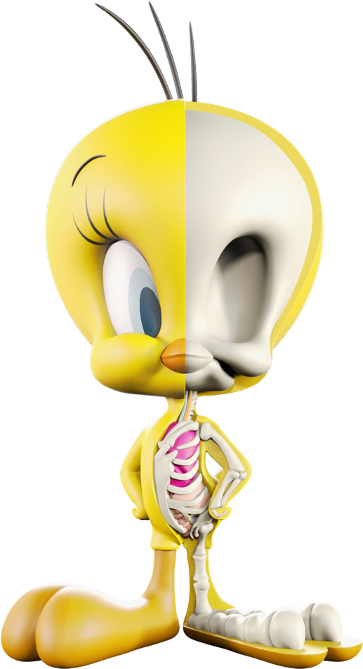 Tweety Half Skeleton Reveal PNG Image