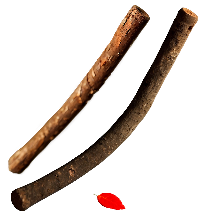 Twigs And Sticks Png Xdh PNG Image