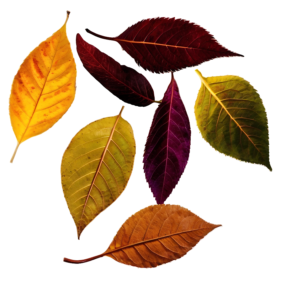 Twilight Autumn Leaves Png 71 PNG Image