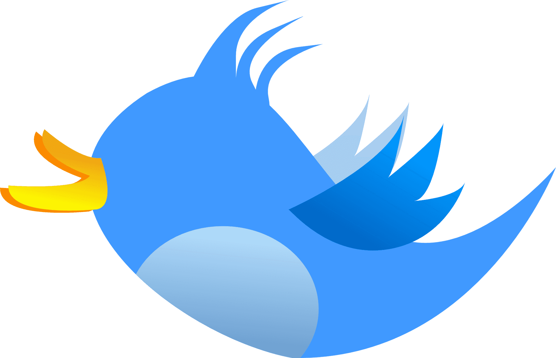 Twitter Bird Logo PNG Image