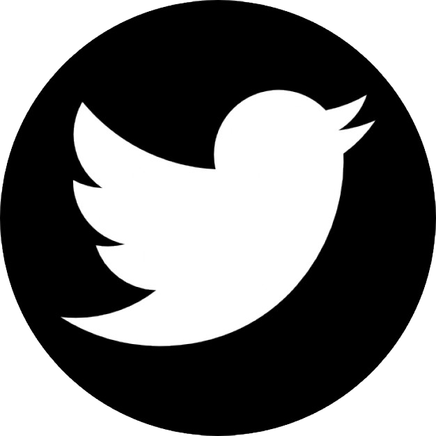 Twitter Logo Icon PNG Image