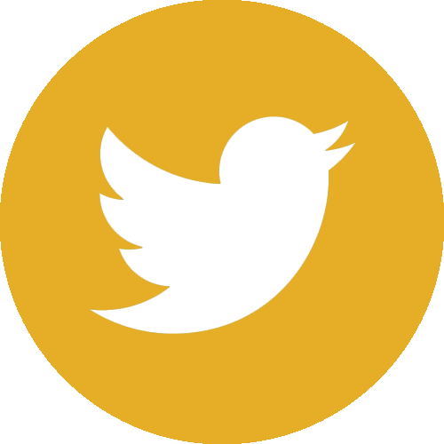 Twitter Logo Icon PNG Image