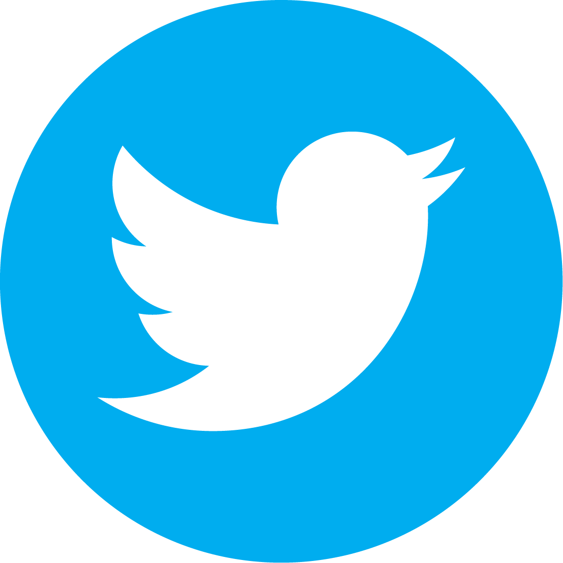 Twitter Logo Icon PNG Image