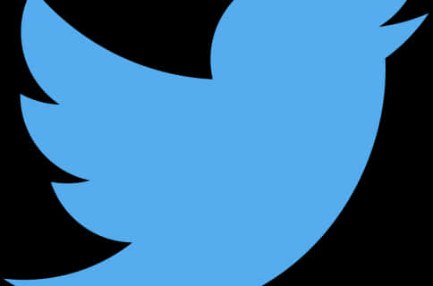 Twitter Logo Silhouette PNG Image