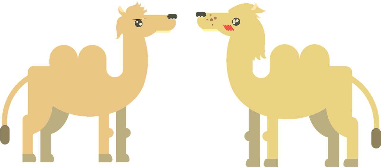 Two Camels Cartoon Faceoff PNG Image