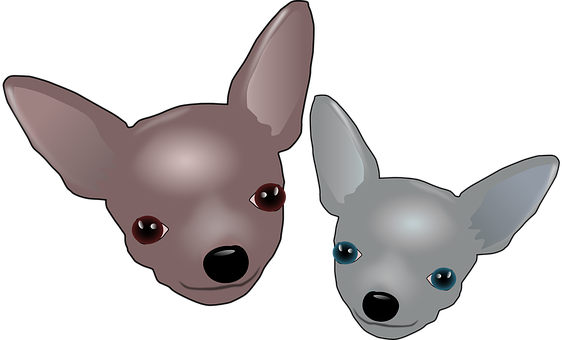 Two Cartoon Chihuahuas PNG Image