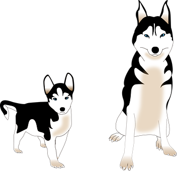 Two Cartoon Huskies Illustration PNG Image