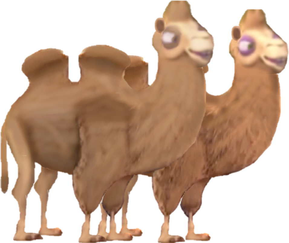 Two Headed Camel Illustration PNG Image