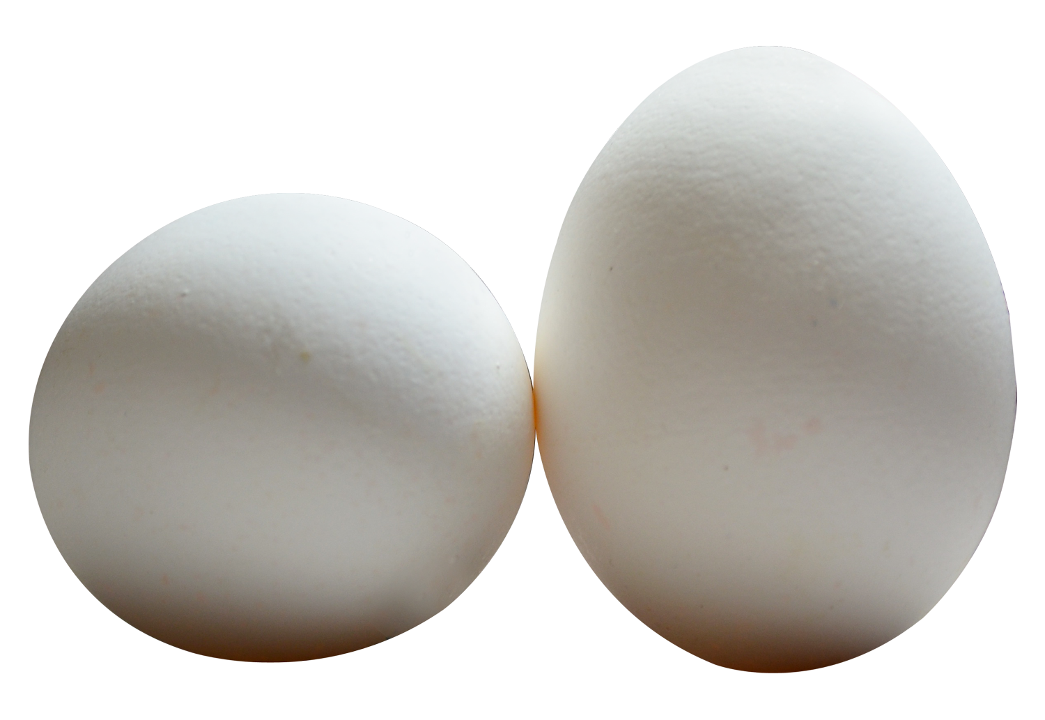 Two White Eggson Gray Background PNG Image